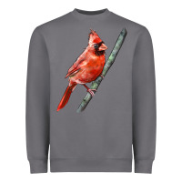 Storm Northern Cardinal Bird Heavyweight Sweatshirt - LillyAllenDesigns