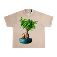 French Oak Ficus Ginsenge Urban Heavy Tee - LillyAllenDesigns