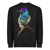 Black Rivoli`s Hummingbird Heavyweight Sweatshirt - LillyAllenDesigns