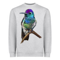 Heather Grey Rivoli`s Hummingbird Heavyweight Sweatshirt - LillyAllenDesigns