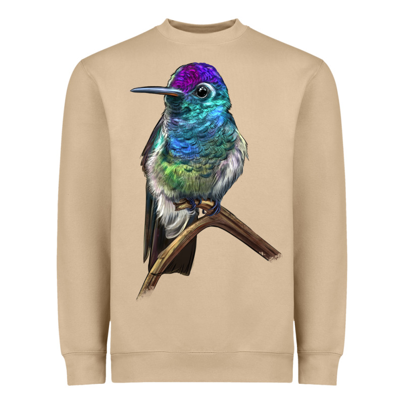 Rivoli`s Hummingbird Heavyweight Sweatshirt by LillyAllenDesigns | Teevron