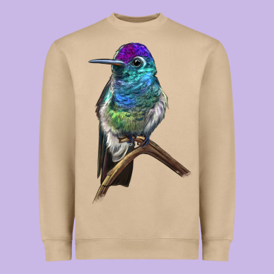 Rivoli`s Hummingbird Heavyweight Sweatshirt Designed By Lillyallendesigns