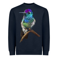 Navy Rivoli`s Hummingbird Heavyweight Sweatshirt - LillyAllenDesigns