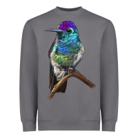 Storm Rivoli`s Hummingbird Heavyweight Sweatshirt - LillyAllenDesigns
