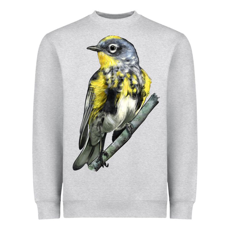 Yellow Rumped Warbler Heavyweight Sweatshirt by LillyAllenDesigns | Teevron