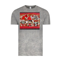 Cloud Rock ladybug gnomies Vintage Tee - BarkalooDesign