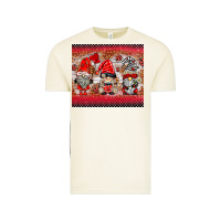 Vintage Arctic ladybug gnomies Vintage Tee - BarkalooDesign
