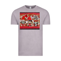 Vintage Zinc ladybug gnomies Vintage Tee - BarkalooDesign