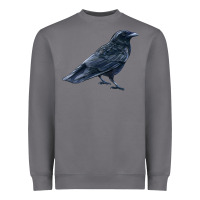 Storm American Crow Heavyweight Sweatshirt - LillyAllenDesigns