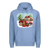 Colony Blue Christmas gnomes with red truck Premium Hoodie - NancyCooperArtShop