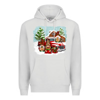 Dove Grey Christmas gnomes with red truck Premium Hoodie - NancyCooperArtShop