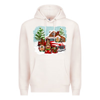 Pale Pink Christmas gnomes with red truck Premium Hoodie - NancyCooperArtShop