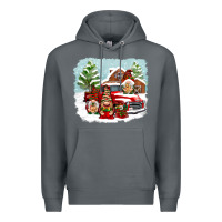 Rock Christmas gnomes with red truck Premium Hoodie - NancyCooperArtShop