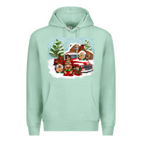 Seafoam Christmas gnomes with red truck Premium Hoodie - NancyCooperArtShop