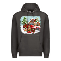 Smoke Christmas gnomes with red truck Premium Hoodie - NancyCooperArtShop