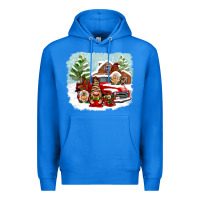 True Royal Christmas gnomes with red truck Premium Hoodie - NancyCooperArtShop