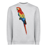 Scarlet Macaw Parrot Heavyweight Sweatshirt | Teevron