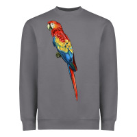 Storm Scarlet Macaw Parrot Heavyweight Sweatshirt - LillyAllenDesigns