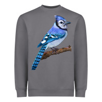 Storm Blue Jay Bird Heavyweight Sweatshirt - LillyAllenDesigns
