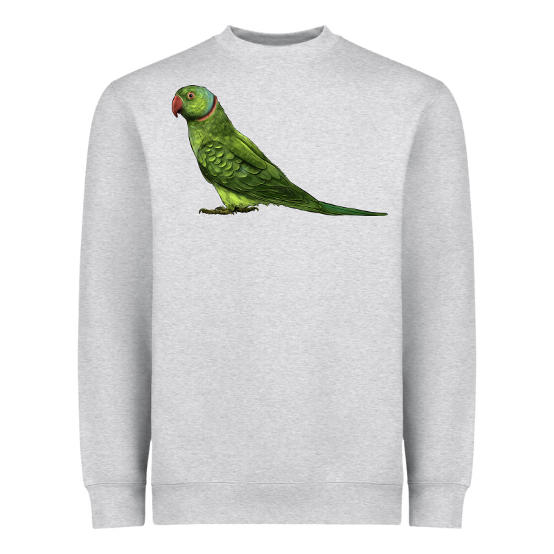 Ring Necked Parakeet Heavyweight Sweatshirt by LillyAllenDesigns | Teevron