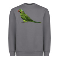 Storm Ring Necked Parakeet Heavyweight Sweatshirt - LillyAllenDesigns