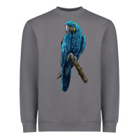 Storm Hyacinth Macaw Heavyweight Sweatshirt - LillyAllenDesigns