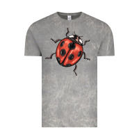 Cloud Rock ladybug Vintage Tee - BarkalooDesign
