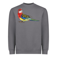 Storm Rosella Bird Heavyweight Sweatshirt - LillyAllenDesigns