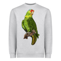 Heather Grey New Zealand Paraket Parrot Heavyweight Sweatshirt - LillyAllenDesigns