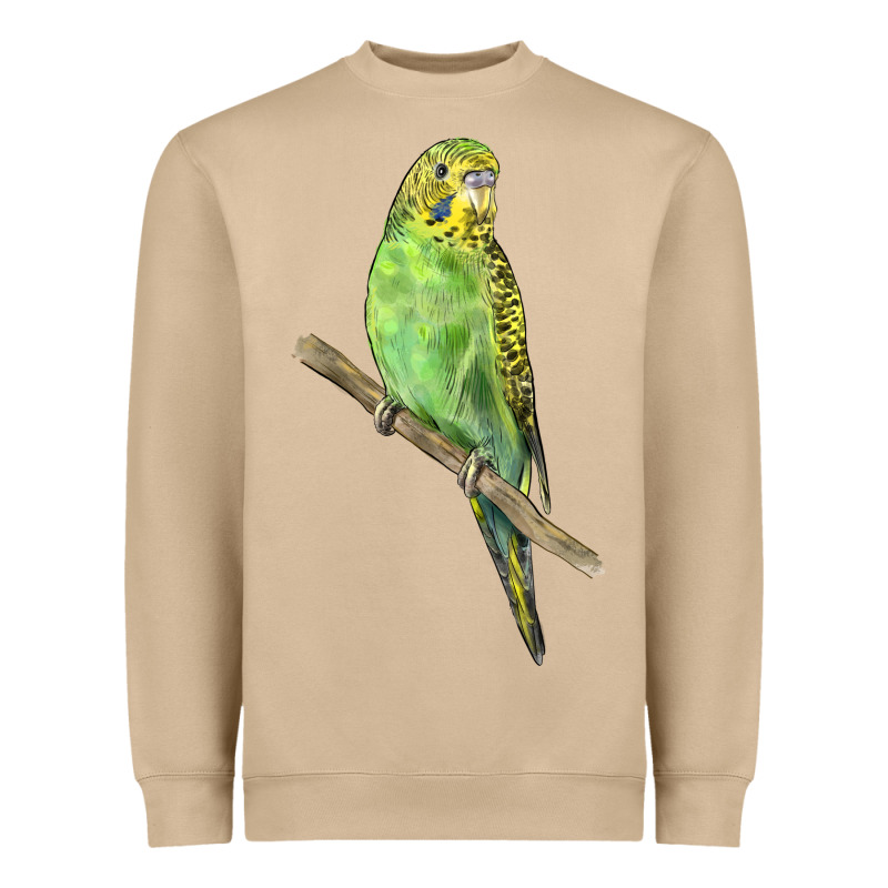 Budgeriar Bird Parrot Heavyweight Sweatshirt by LillyAllenDesigns | Teevron
