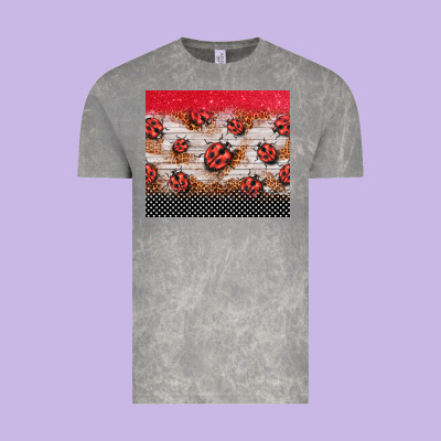 Ladybug Tumbler Vintage Tee Designed By Barkaloodesign