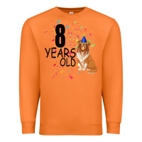 Carrot 8 years old black Premium Sweatshirt - Bettercallsaul