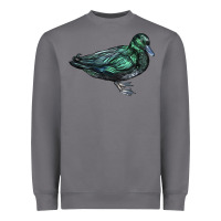 Storm East İndie Duck Heavyweight Sweatshirt - LillyAllenDesigns