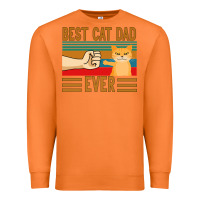 Carrot Best Cat Dad Ever Premium Sweatshirt - Bettercallsaul
