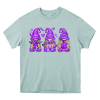 Arona Domestic Violence Warrior Gnomes Heavy Core Tee - texasbilliewilder