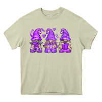 Mossy Domestic Violence Warrior Gnomes Heavy Core Tee - texasbilliewilder
