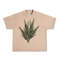 Burro Botanical Sagebrush Illustrations Urban Heavy Tee - LillyAllenDesigns