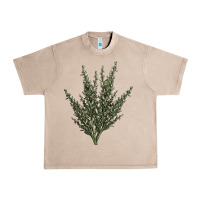 French Oak Botanical Sagebrush Illustrations Urban Heavy Tee - LillyAllenDesigns