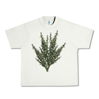 Pistachio Botanical Sagebrush Illustrations Urban Heavy Tee - LillyAllenDesigns