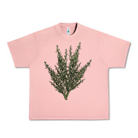 Salmon Botanical Sagebrush Illustrations Urban Heavy Tee - LillyAllenDesigns