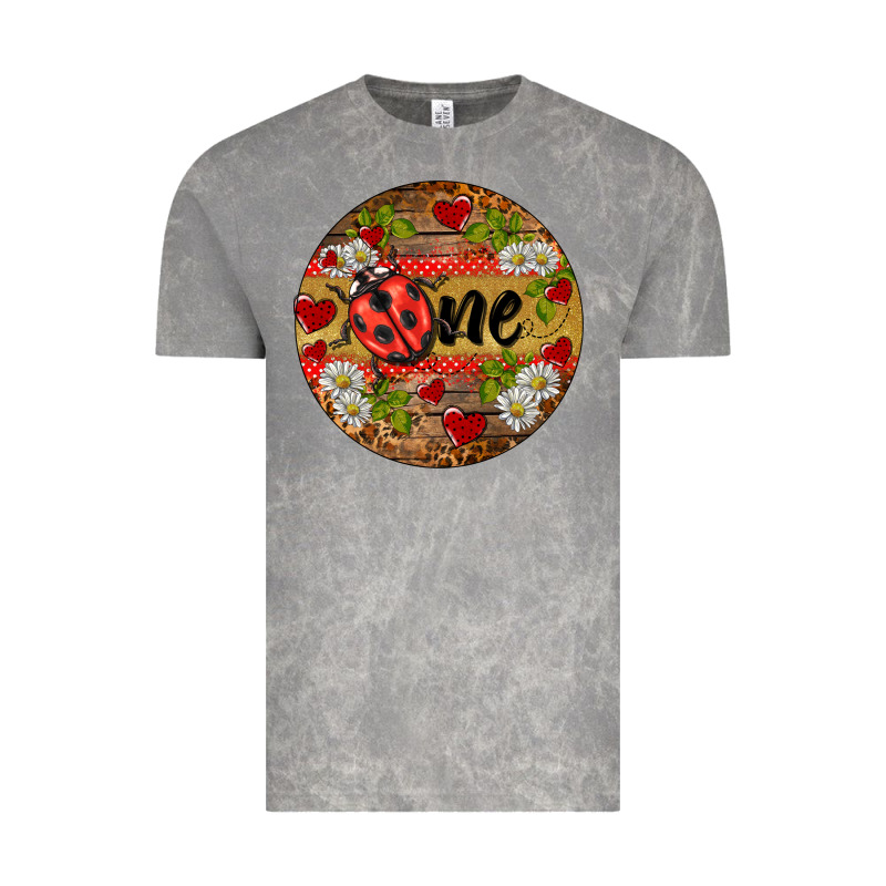 Ladybug One Ornament Vintage Tee by BarkalooDesign | Teevron