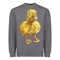 Storm Baby Duck Heavyweight Sweatshirt - LillyAllenDesigns