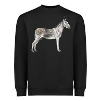 Andalusian Donkey Heavyweight Sweatshirt | Teevron
