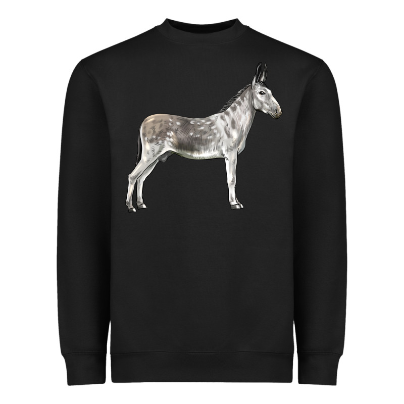 Andalusian Donkey Heavyweight Sweatshirt by LillyAllenDesigns | Teevron
