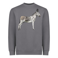 Storm Andalusian Donkey Heavyweight Sweatshirt - LillyAllenDesigns