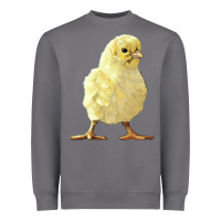 Storm Chick Heavyweight Sweatshirt - LillyAllenDesigns