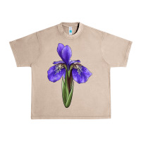 French Oak Iris Flower Illustrations Urban Heavy Tee - LillyAllenDesigns