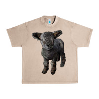 French Oak southdown baby sheep Urban Heavy Tee - LillyAllenDesigns