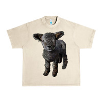 Sandshell southdown baby sheep Urban Heavy Tee - LillyAllenDesigns