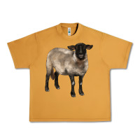Peanut Butter suffolk ewe Urban Heavy Tee - BarkalooDesign